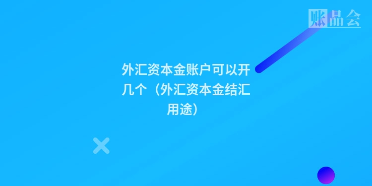 外汇资本金账户可以开几个(外汇资本金结汇用途)