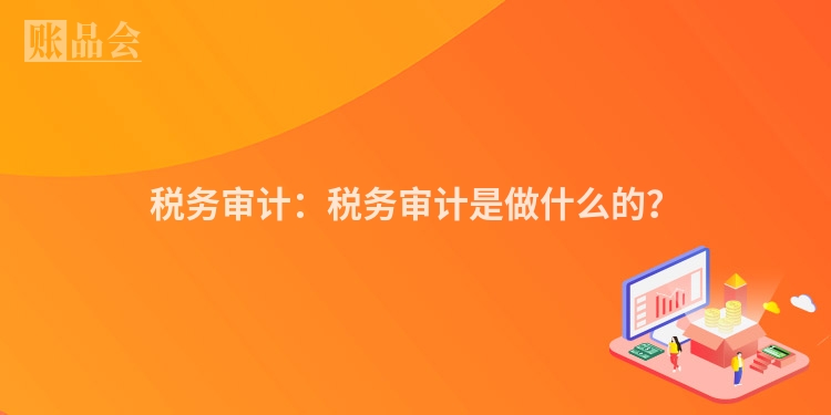 税务审计:税务审计是做什么的?